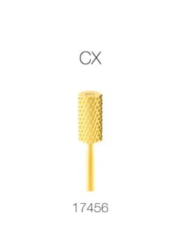 1-Large Gold CX 17456.jpg
