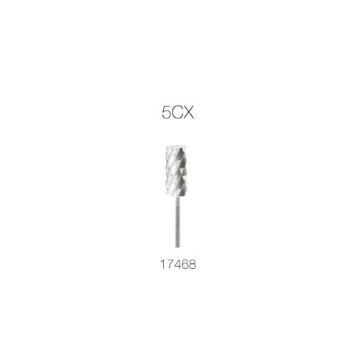 2-Silver 5CX 17468.jpg