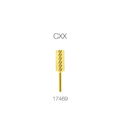 3-Gold CXX 17469.jpg