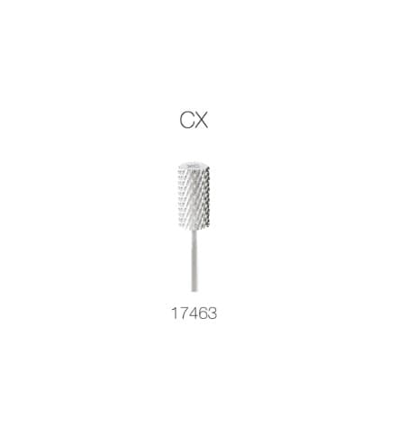 2-Silver CX 17463.jpg