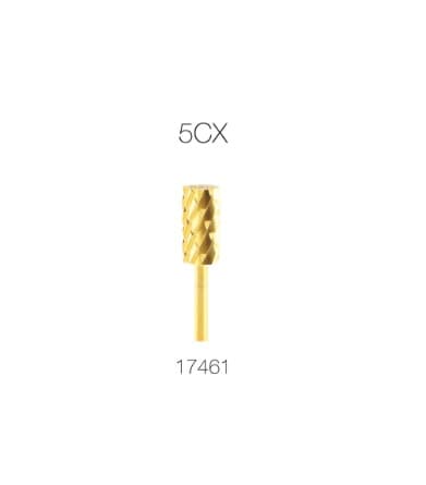 1-Large Gold 5CX 17461.jpg