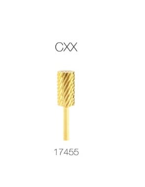 1-Large Gold CXX 17455.jpg